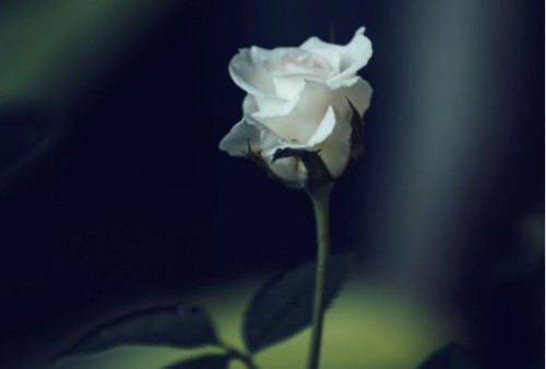 Zmarł Stefan Cudzanowski| KONDOLENCJE